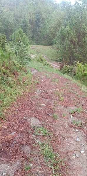 Property for sale in Chail, Shimla
