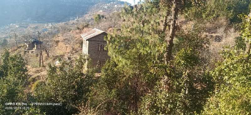 12 Bigha Agricultural/Farm Land for Sale in Chail, Shimla