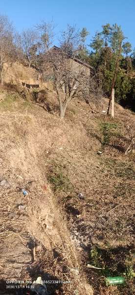 12 Bigha Agricultural/Farm Land for Sale in Chail, Shimla