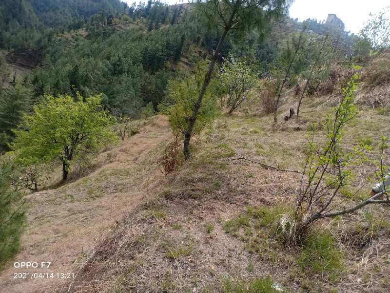 50 Biswa Commercial Lands /Inst. Land for Sale in Theog, Shimla