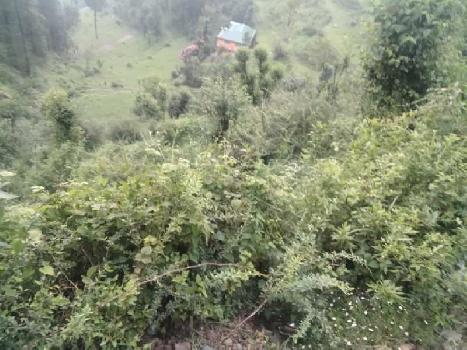 10 Biswa Agricultural/Farm Land for Sale in Shoghi, Shimla