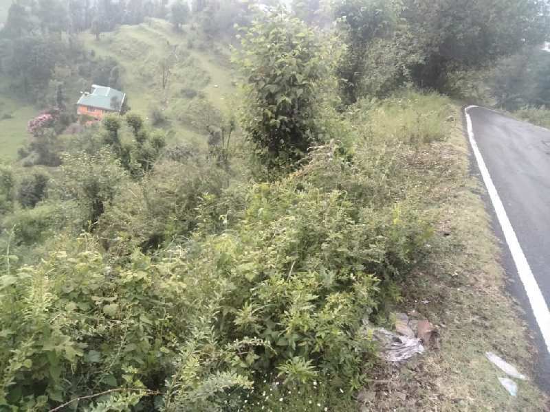 10 Biswa Agricultural/Farm Land for Sale in Shoghi, Shimla