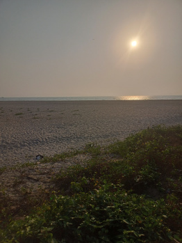Property for sale in Velsao, Goa