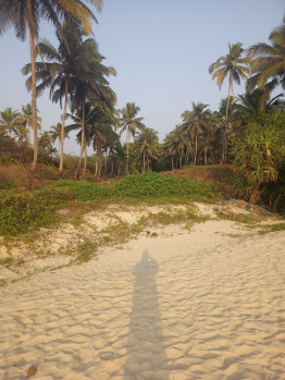 Property for sale in Velsao, Goa