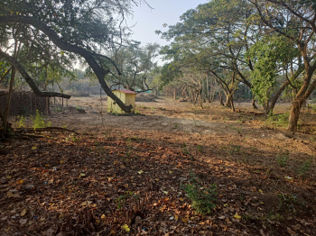 Property for sale in Velsao, Goa