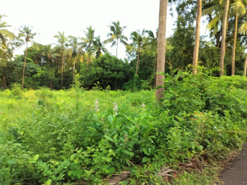 Residential Plot for Sale in Tivim, North Goa, Goa (2000 Sq. Meter)