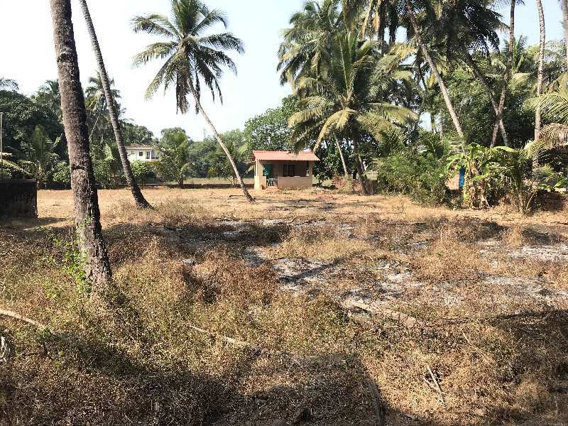 1588 Sq. Meter Residential Plot for Sale in Betalbatim, South Goa, Goa