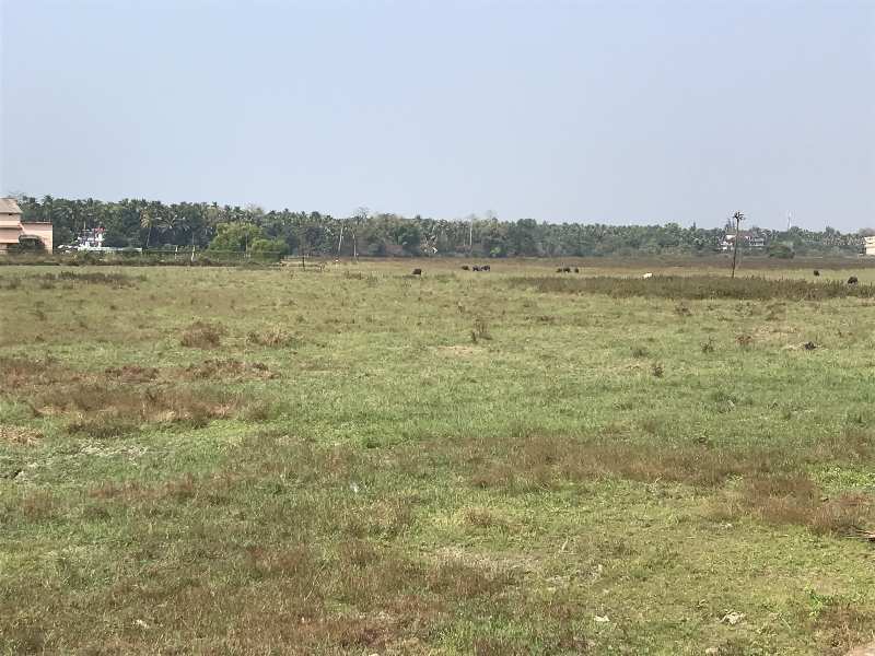 Field View Plot In Betalbatim