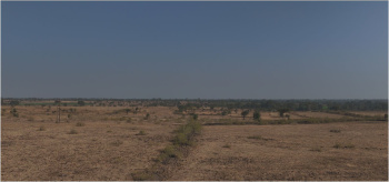 Agricultural/Farm Land for Sale in Multai, Betul (200 Acre)