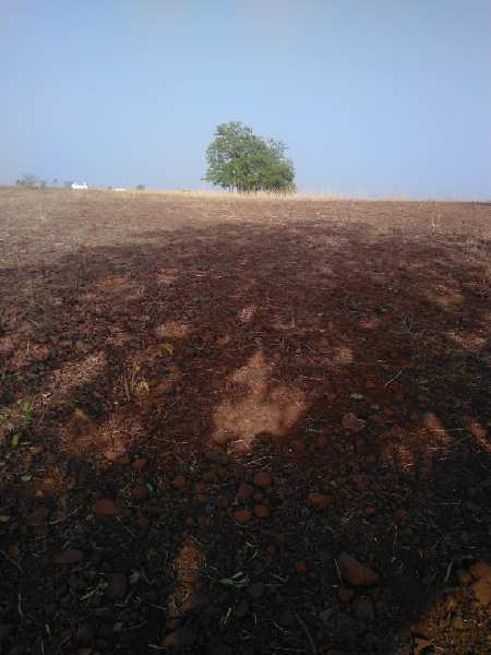 Agriculture Land For Sale In Manegaon, Chhindwara