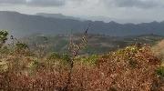 1 Acre Agricultural/Farm Land for Sale in Lavasa City, Pune