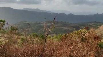 1 Acre Agricultural/Farm Land for Sale in Lavasa City, Pune