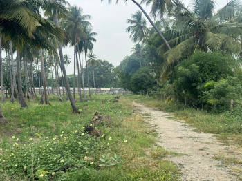 Property for sale in Manachanallur, Tiruchirappalli