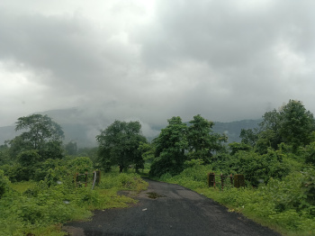 12.5 Acre Residential Plot for Sale in Shahapur, Thane