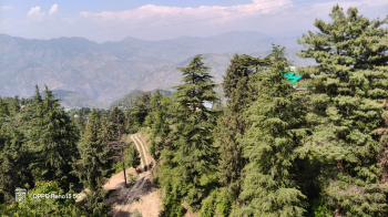 Property for sale in Kufri, Shimla