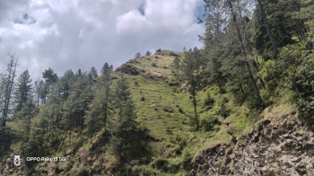 Agricultural/Farm Land for Sale in Theog, Shimla (30 Bigha)