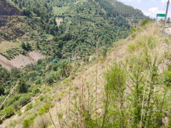 Agricultural/Farm Land for Sale in Theog, Shimla (8 Bigha)