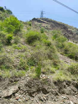 Property for sale in Theog, Shimla