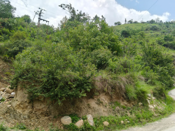 Agricultural/Farm Land for Sale in Chhaila, Shimla (5 Bigha)