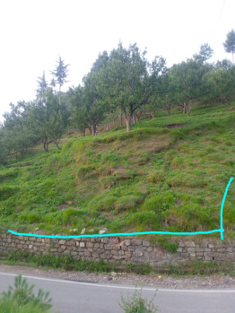 Agricultural/Farm Land for Sale in Narkand, Shimla (10 Bigha)