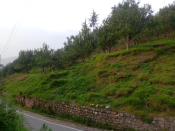 Property for sale in Narkand, Shimla