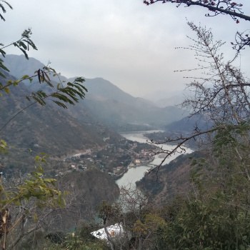 Agricultural/Farm Land for Sale in Sunni, Shimla (84 Biswa)