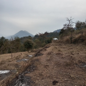 Property for sale in Sunni, Shimla