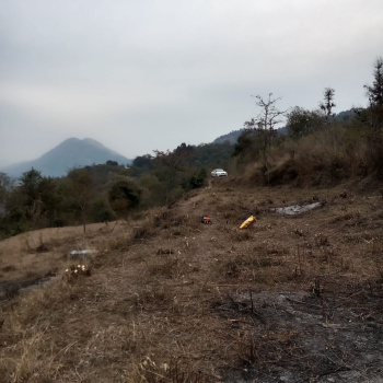 Property for sale in Sunni, Shimla