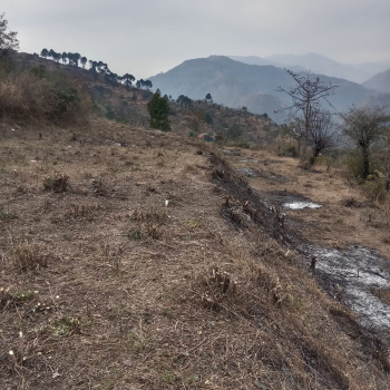 Property for sale in Sunni, Shimla