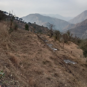 Property for sale in Sunni, Shimla