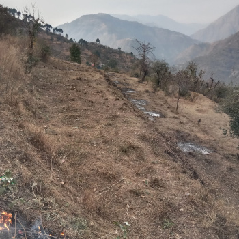 Property for sale in Sunni, Shimla