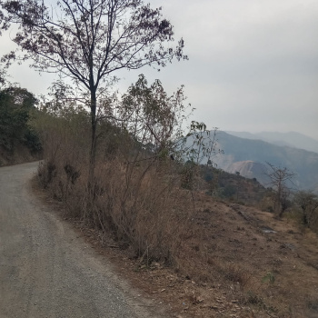 Property for sale in Sunni, Shimla