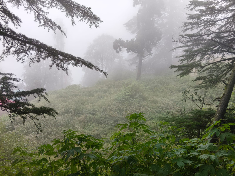 Commercial Lands /Inst. Land for Sale in Jakhu, Shimla (75 Biswa)