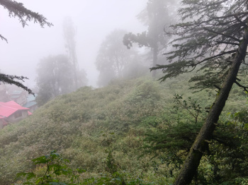 Property for sale in Jakhu, Shimla