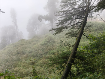 Property for sale in Jakhu, Shimla