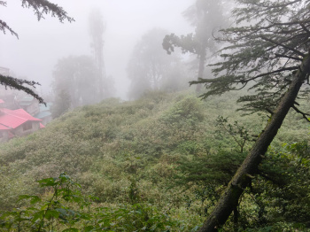 Property for sale in Jakhu, Shimla