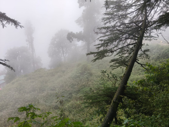 Property for sale in Jakhu, Shimla