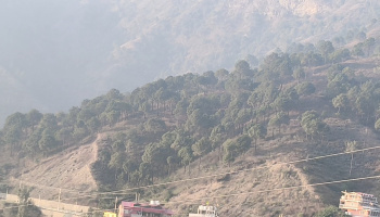 Agricultural/Farm Land for Sale in Kandaghat, Solan (120 Bigha)