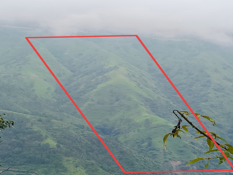 Commercial Lands /Inst. Land for Sale in Chail, Shimla (250 Bigha)