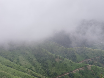 Property for sale in Chail, Shimla