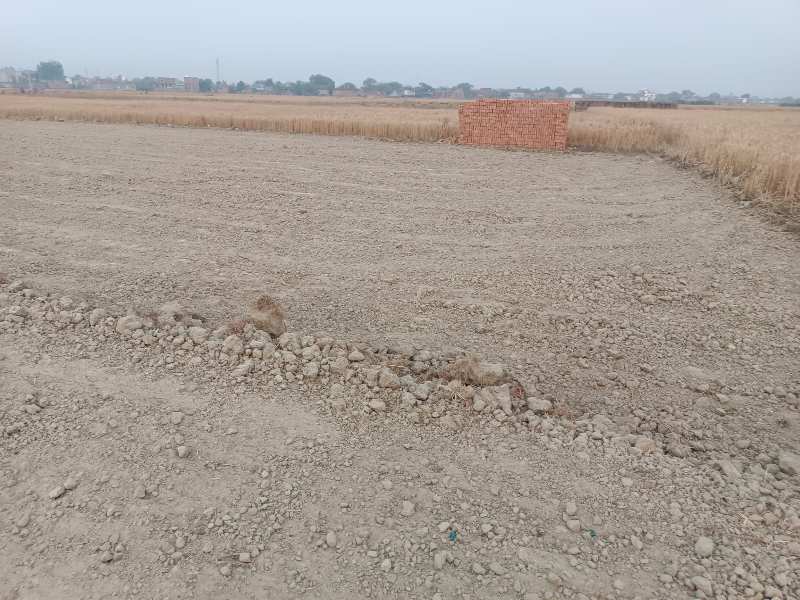1360 Sq.ft. Residential Plot for Sale in Diesel Colony Park, Mughalsarai