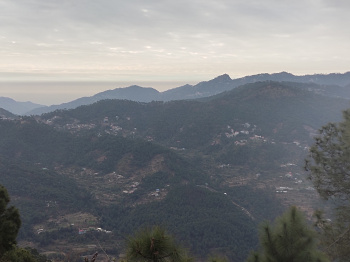 53 Biswa Agricultural/Farm Land for Sale in Kasauli, Solan