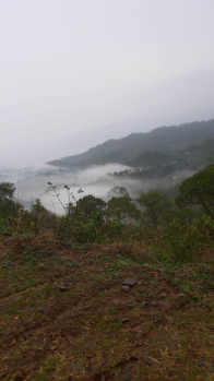 73 Biswa Agricultural/Farm Land for Sale in Kasauli, Solan