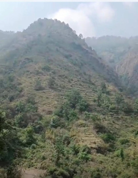 25 BIGHA RAJGARH DEEDAG LINK ROAD