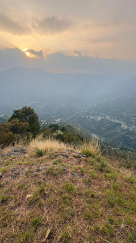 Agricultural/Farm Land for Sale in Rajgarh Road, Solan (98 Bigha)