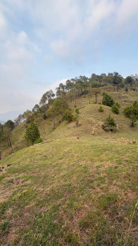 Property for sale in Rajgarh Road, Solan
