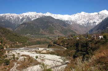 Agricultural/Farm Land for Sale in Ghuggar, Palampur (1290 Bigha)