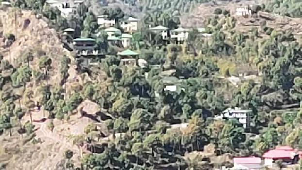 Property for sale in Kasauli, Solan