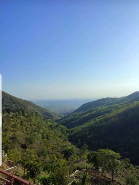 4955 Sq. Yards Agricultural/Farm Land For Sale In Kasauli, Solan