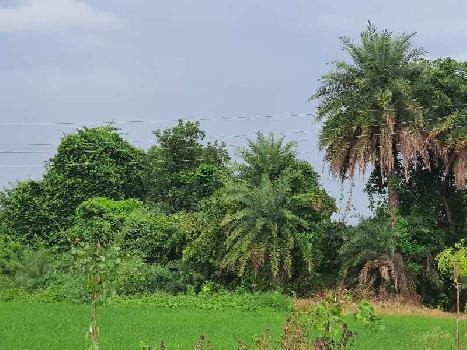 Property for sale in Naya Raipur, Raipur